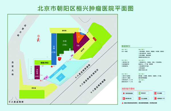 操操操操操操操逼北京市朝阳区桓兴肿瘤医院平面图